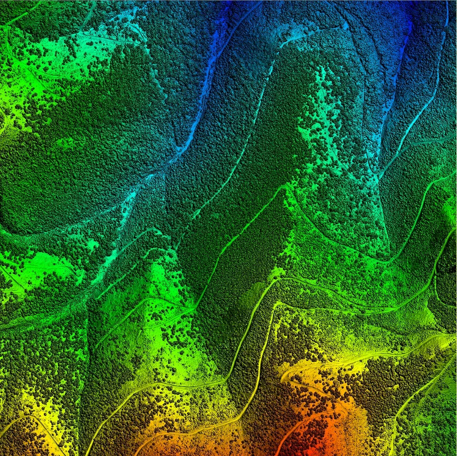 Digital surface models